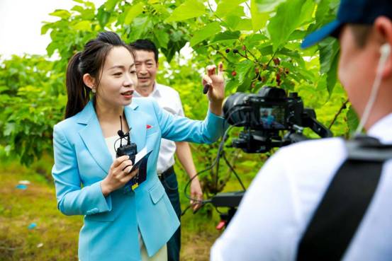 887b371fd218b07b89defa312fe0c7f