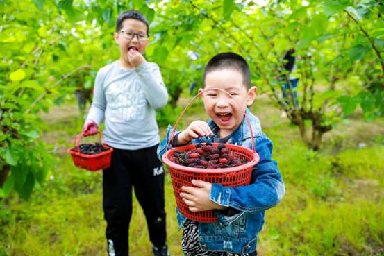 5c1008f86188c38c732cf9098b6dd80